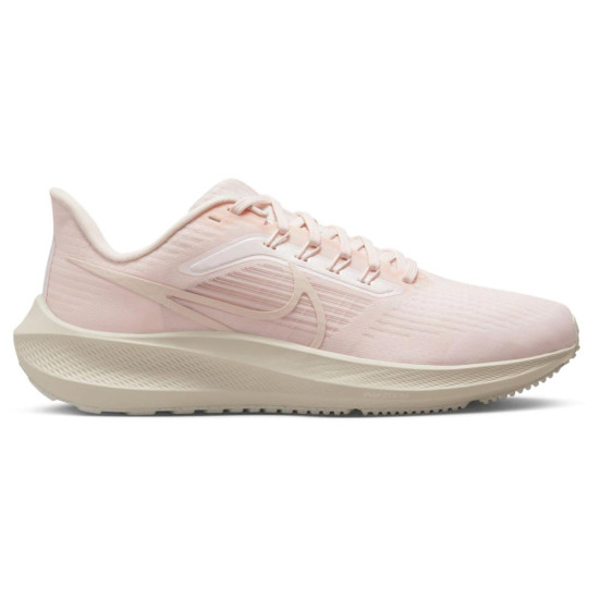 Nike Pegasus 39